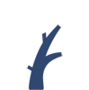 Medicina della riproduzione